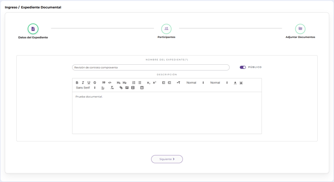 02_INGRESO_PASO_DATOS_EXPEDIENTE