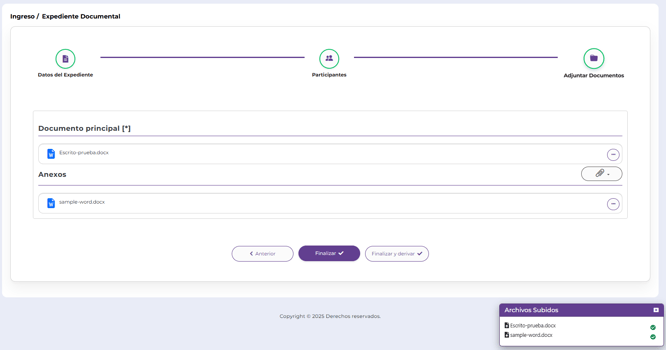 04_INGRESO_PASO_DOCUMENTOS
